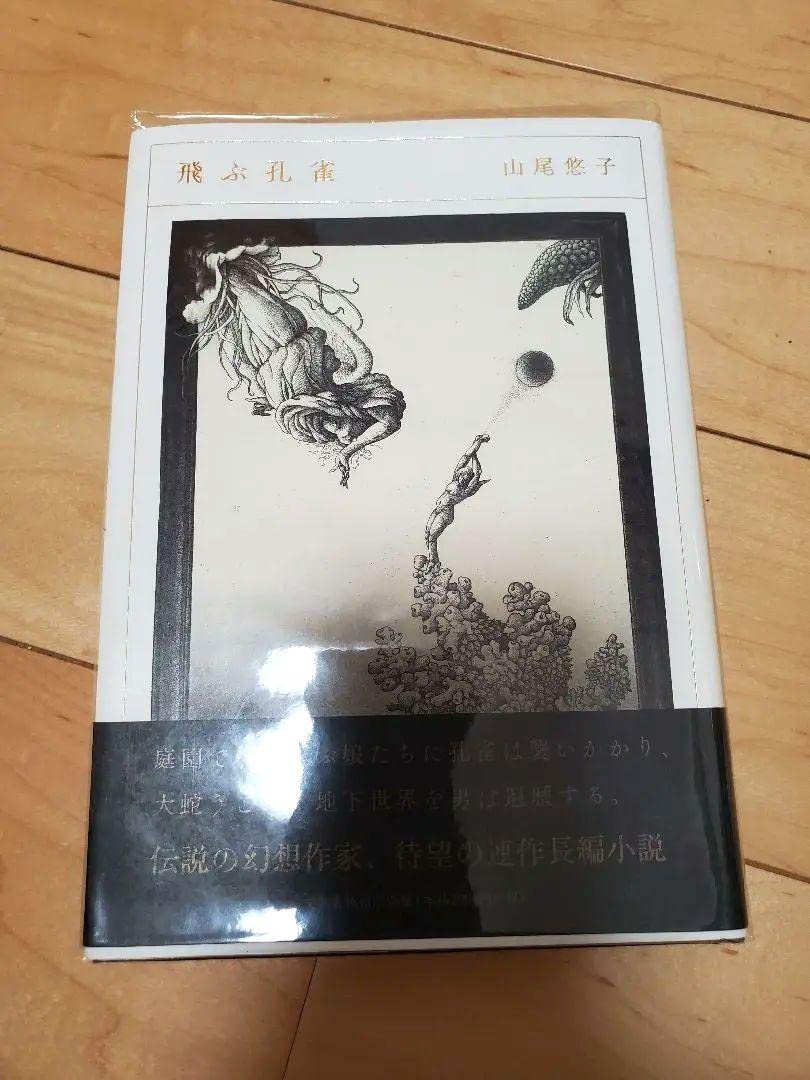 Amazon.co.jp: 山尾悠子 飛ぶ孔雀 サイン本 : 文房具・オフィス用品