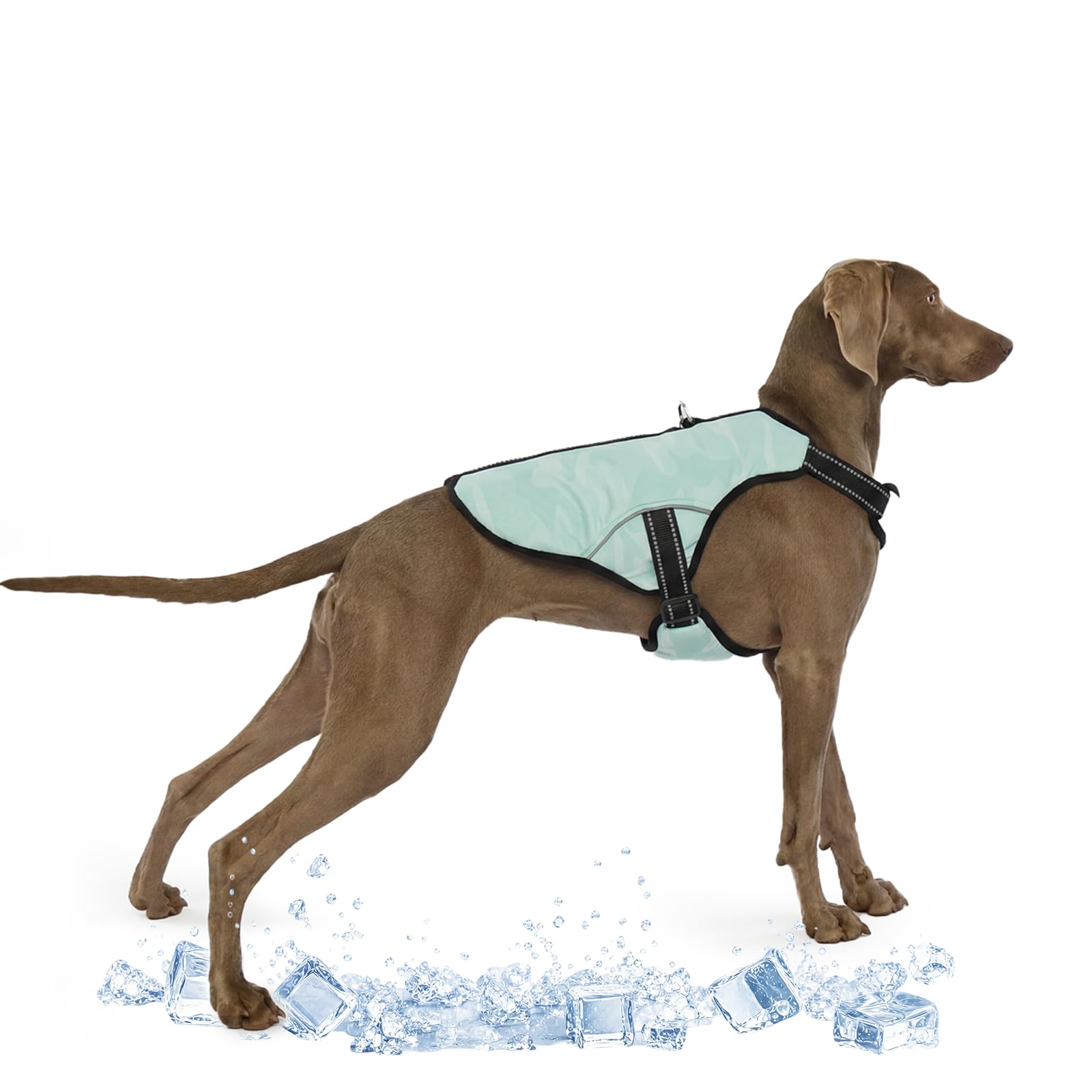 Kühlweste für Große Hunde, Hunde Kühlmantel Einstellbare Kühlung Hund Jacke Saugfähige & kühle Hundeweste für Sport heißes Wetter Sommer Dog Cooling Vest Coat(Grün, XL)