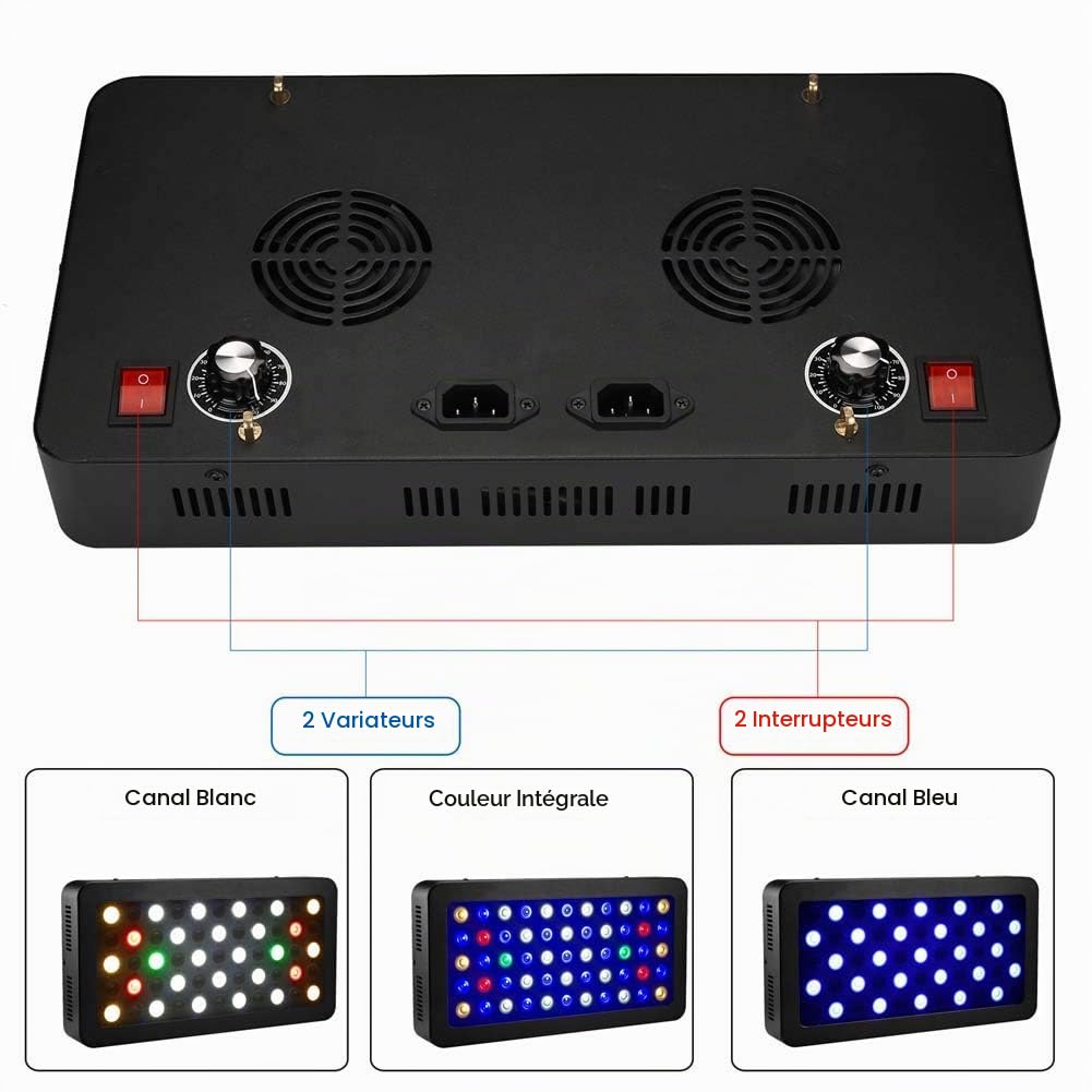 ZTJ-Lighting Lumière d'aquarium de 165W LED, lumière de Corail de Spectre Complet de Dimmable LED, 2 commutateurs pour l'aquarium Bleu-Blanc d'éclairage de réservoir d'eau salée