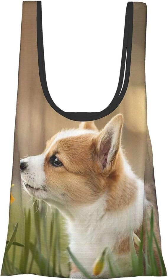 Amazon ウェールズのコーギー 犬 動物柄 エコバッグ 買い物バッグ コンビニバッグ おしゃれ 折りたたみ コンパクト 軽い 大容量 収納 防水 男女兼用 Vbtdegab シューズ バッグ