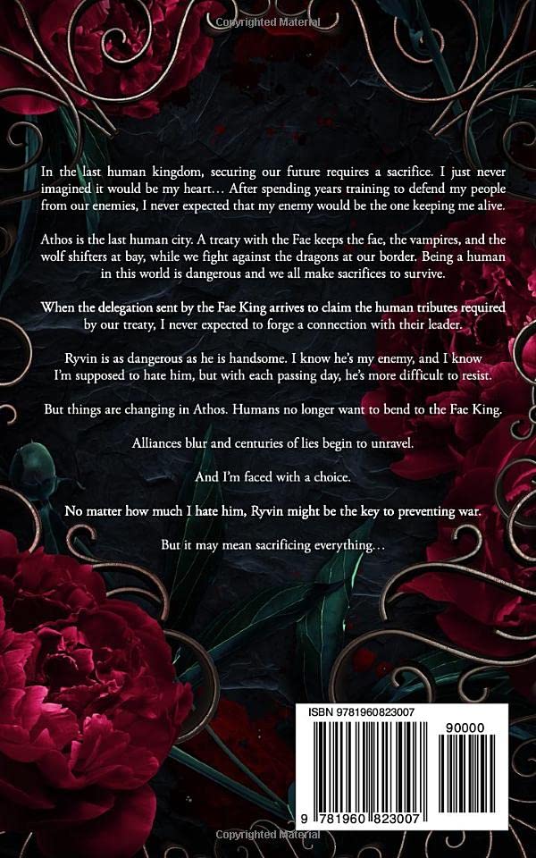 Kingdom of Blood and Salt - Image 2