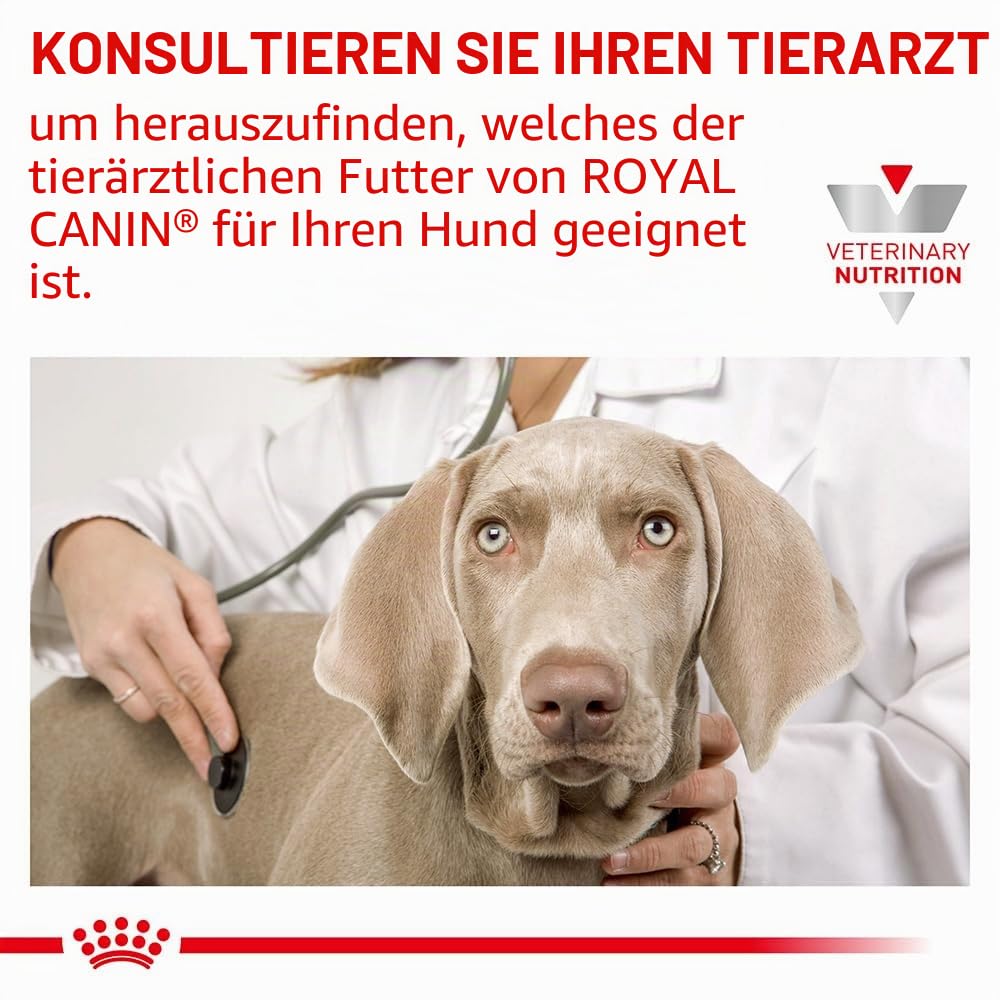 ROYAL CANIN Veterinary Hypoallergenic SMALL Dogs | 3,5 kg | Diät-Alleinfuttermittel für ausgewachsene kleine Hunde | Zur Minderung von Nährstoffintoleranzerscheinungen