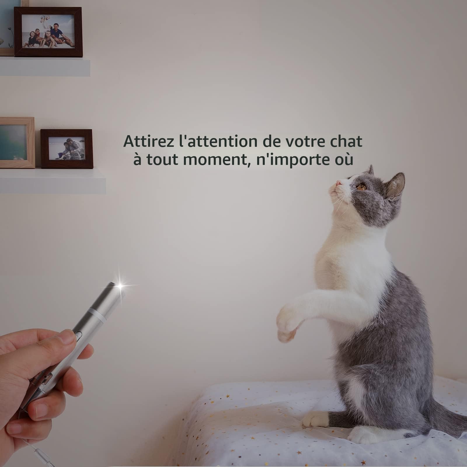 Jouets Interactifs Pour Chats Et Chiens, Jouet Chat Avec Voyant Led, Intelligence De Jouet De Chat éLectrique Jouets Chats Pour Exercices Entrainement, Rechargeable Par Usb, Jeu Interactif
