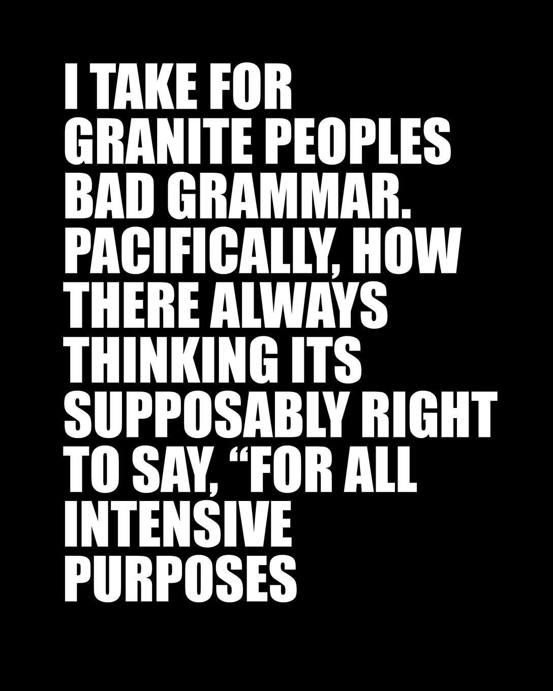 I TAKE FOR GRANITE PEOPLES BAD GRAMMAR. PACIFICALLY, HOW THERE ALWAYS THINKING ITS SUPPOSABLY RIGHT TO SAY "FOR ALL INTENSIVE PURPOSES: Funny Meme Gag Gift 8" x 10" Dot Grid Journal