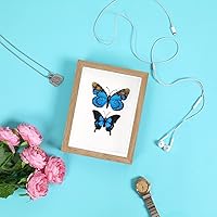 Vista 4 de KAPIX Caja Expositora Shadow Box Pequeña de 4x6 Pulgadas con Marco de Fotos de Vidrio Real, Caja de Exhibición de Madera Profunda para Flores