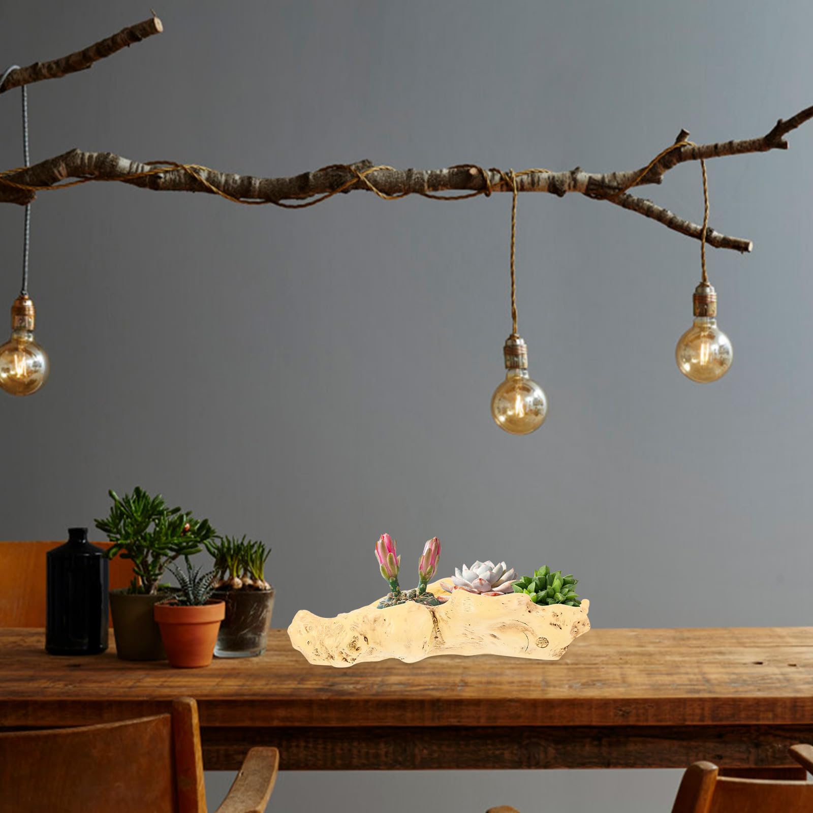 Vaso in Resina per Piante Grasse e Fiori Piccoli Effetto Radice D'albero Marrone, Vaso Decorativo Elegante per Casa e Ufficio, per Succulente
