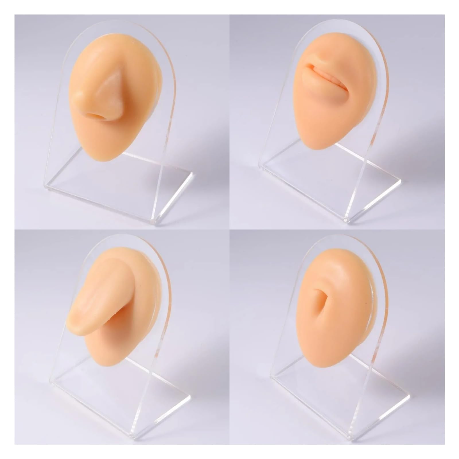 Symulacja Praktyki Nakłuwania Silikonowy Ucho, Nos, Warga, Pępek, Piercing Brwi Model Z Akrylowym Stojakiem(Right Ear)