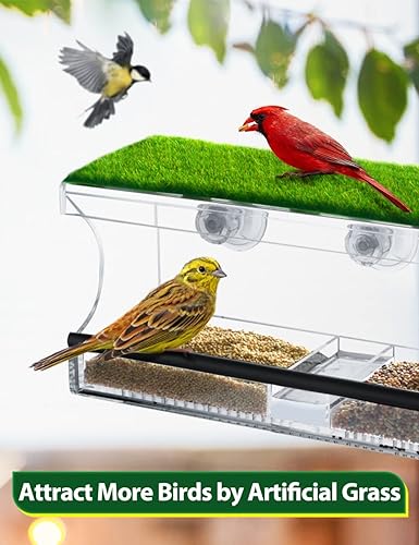 Miniatura 3 de TOYPOPOR Comedero para pájaros de ventana grande de 12 pulgadas con hierba artificial, comedero de pájaros acrílico silvestre con 3 ventosas de