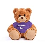 Plushland Teddy Bear 11 Inch, Stuffed Animal Personalized Gift - Great Present for Mothers Day, Valentine Day, Graduation, Birthday,Anniversary, get Well,Christmas (Mocha Bear, Purple)