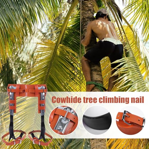 Tree climbing spikes avec sangles robustes en cuir pour grimper aux arbres - 3
