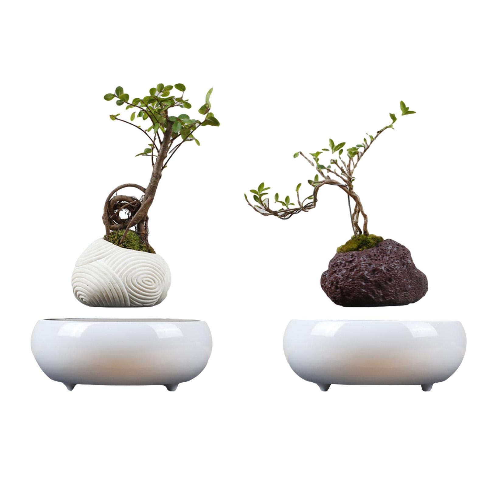 Buy Levitation Air Bonsai Pot Creative Mini SkyGarden Rotating Flower Pot ers