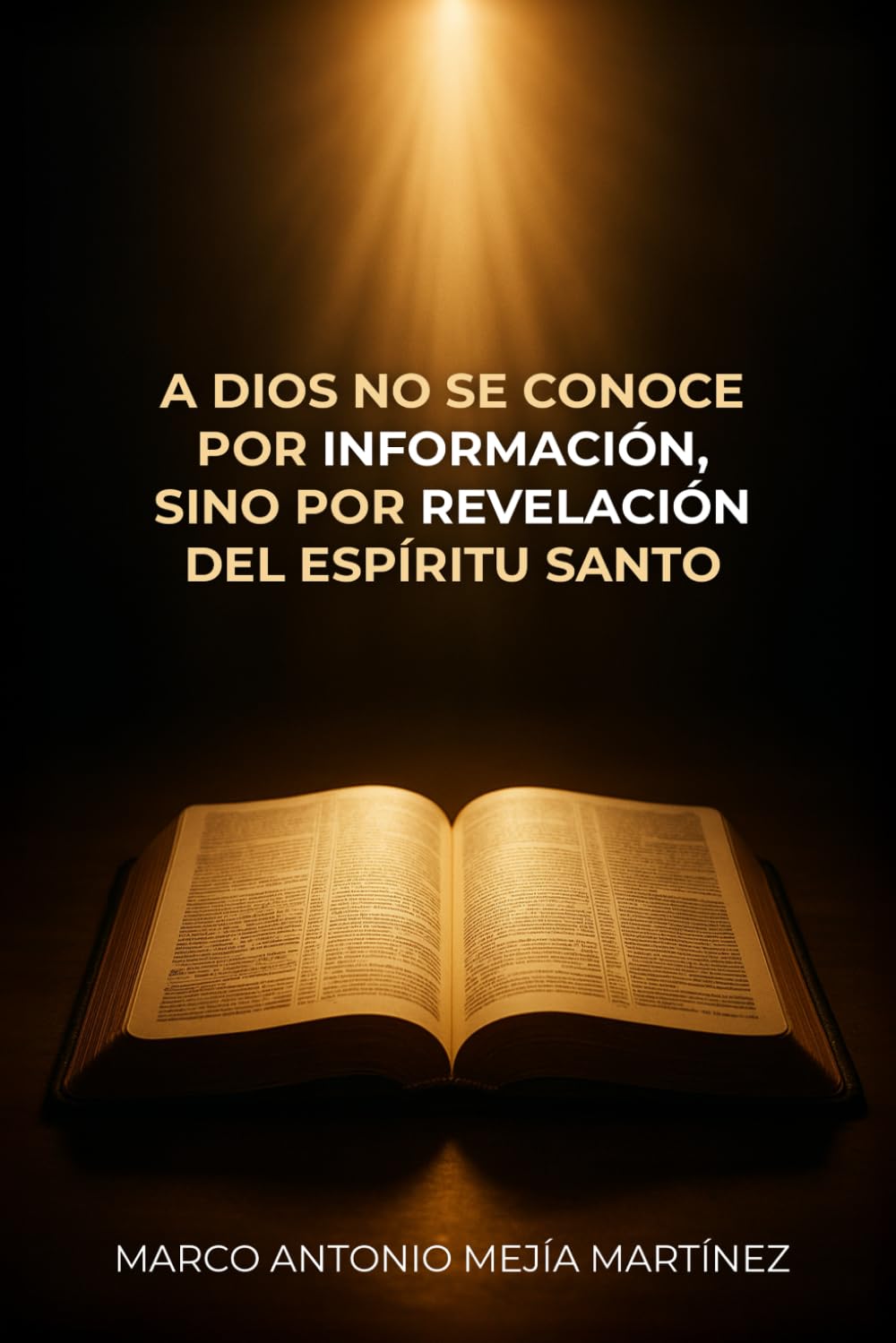 A Dios no se conoce por información sino por revelación del Espíritu Santo