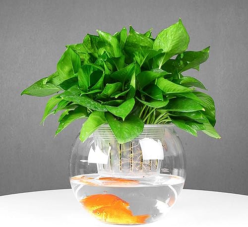 Miniatura 2 de Yardwe 10 macetas cuadradas de 4 pulgadas de plástico hidropónico para suministros hidropónicos con cuerda de algodón (blanco)