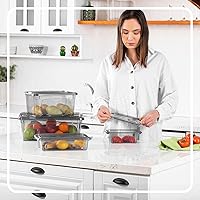 Vista 6 de Tribello 12.5 Quart Storage Bins with Lids, Plastic Storage Containers with Latching Lids For Organizing - Tinted - (15.5’ x 12” x 6”) - Set of 2