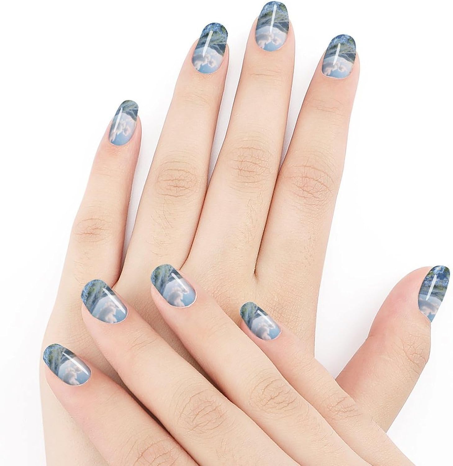 Blue Flower FieldsSummer Nail Stickers Nail Strips | Nail Art Stickers of 10 sets with decorate fingernails,toenails,artificial nails Full Cover Easy On-Off Non-Damaging