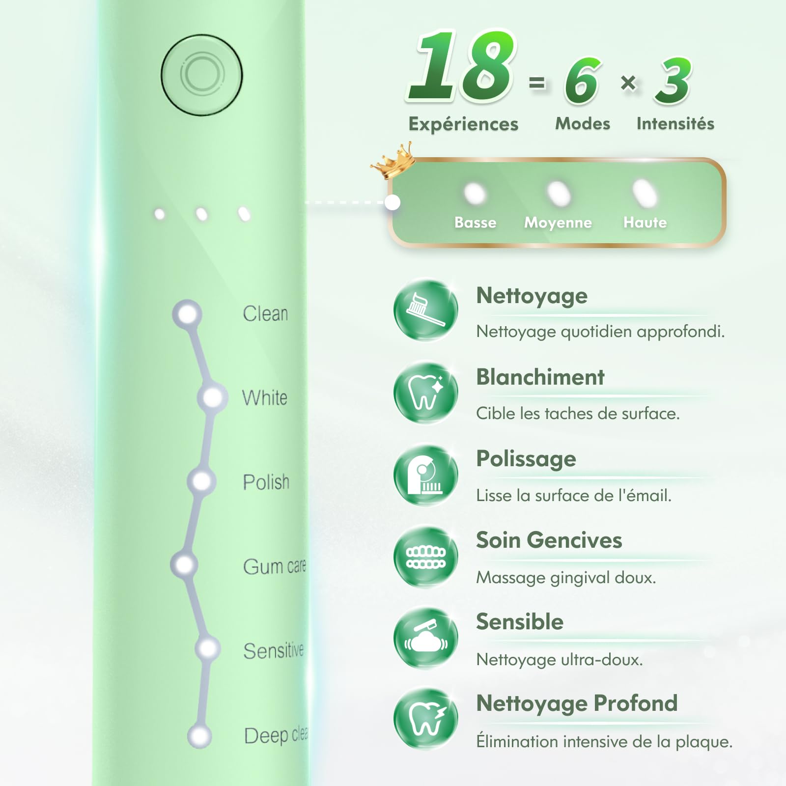 Brosse à dents électrique pour adultes et enfants, rechargeable, sonique, avec étui de voyage, support et 7 têtes de brosse, 6 modes et 3 intensités, minuterie de 2 minutes (Vert)