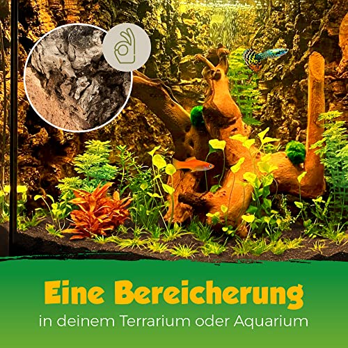 Korkrinde Korkstück, 30 x 15 cm (Naturkork, Zierkork) gereinigt & desinfiziert – ideal für Haustiere (Nager + Vögel) oder Basteln & Hobby (Modellbau), unbehandelte Rinde von der Korkeiche, flach