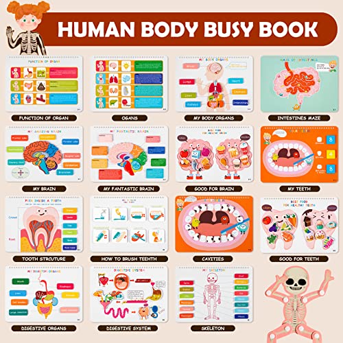 Freebear Montessori Busy Book For Kids, Human Body Anatomy Book For Toddlers, Preshool Kindergarten Learning Activities, Autism Sensory Toys, Travel Toys, Gifts For Girls And Boys 4 5 6 7 8 Years #TOP1