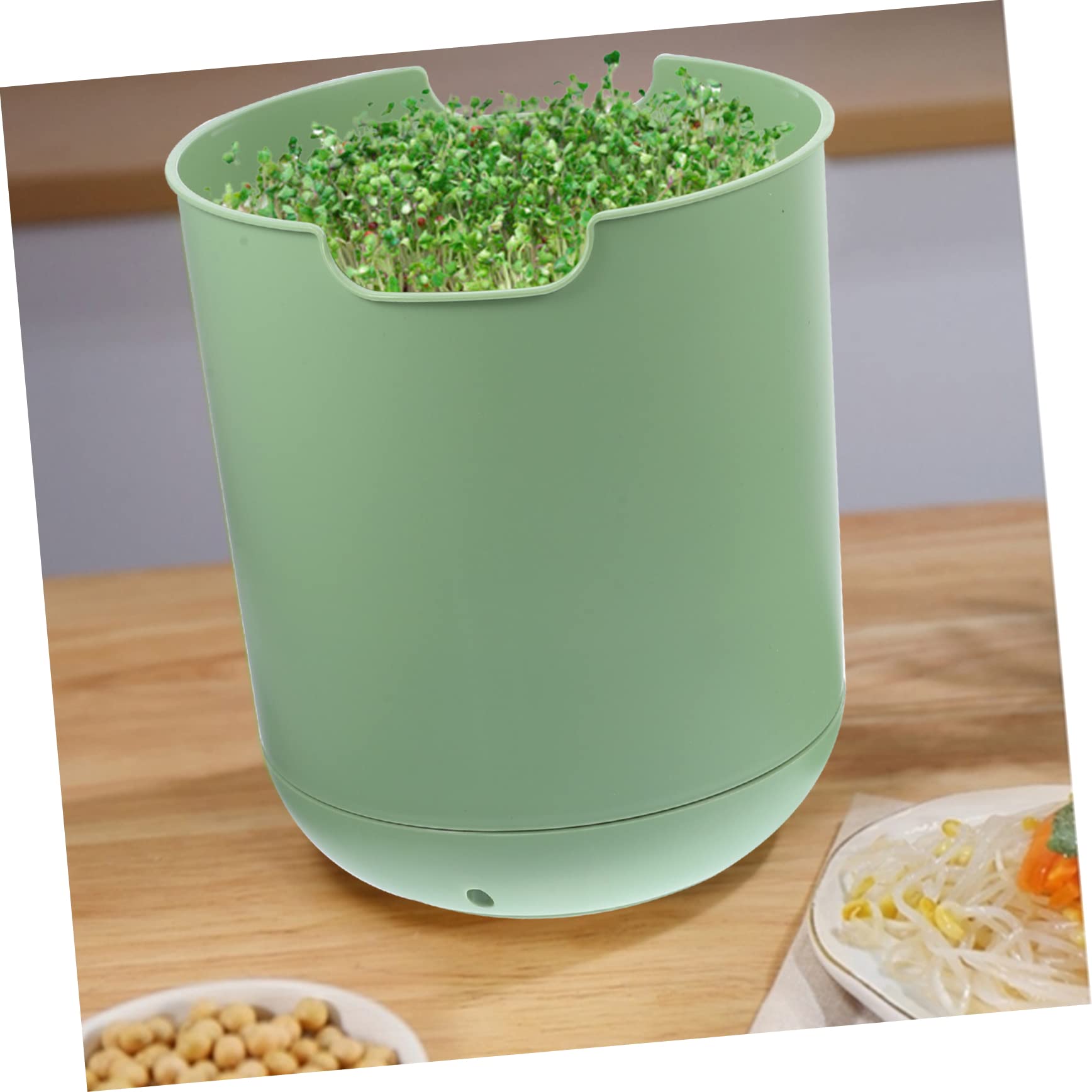 YARNOW Kit de Cultivo de Brotes de Soja de 1 Juego en PP Verde Claro