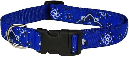 Blue bandana collar Clearance