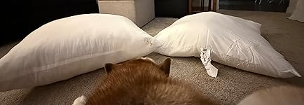 Review Image by lisa Lynb33 lisa Lynb33