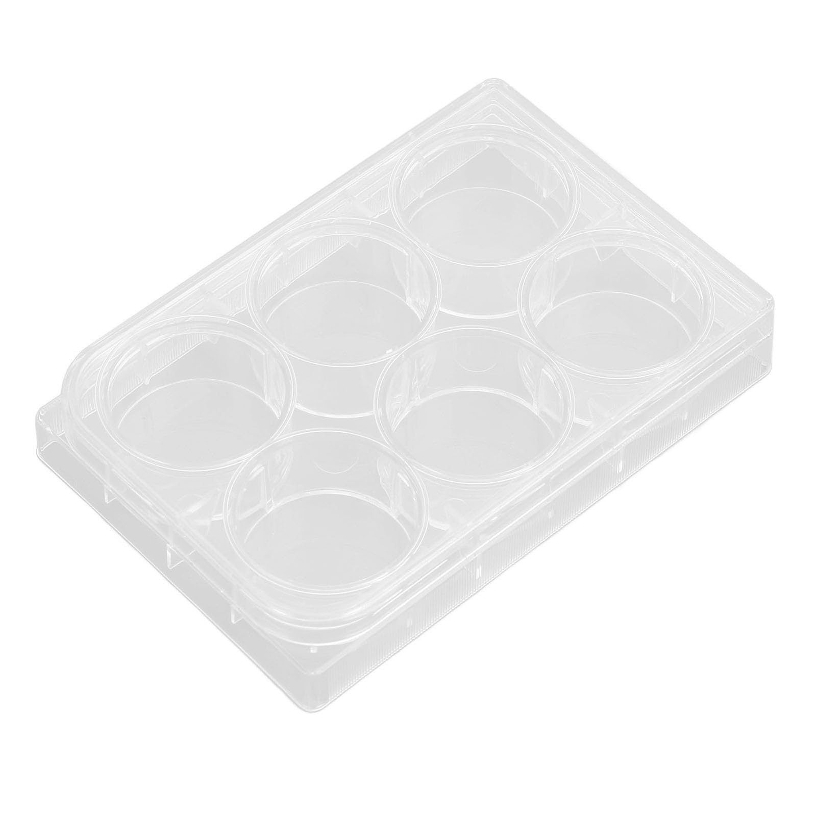 Yctze 10pcs Plaques de Culture Tissulaire Hautement Transparentes avec Fond Plat et Couvercle pour Une Utilisation - Orm épais pour la Cellule Due et Expérimentale (6 Trous)