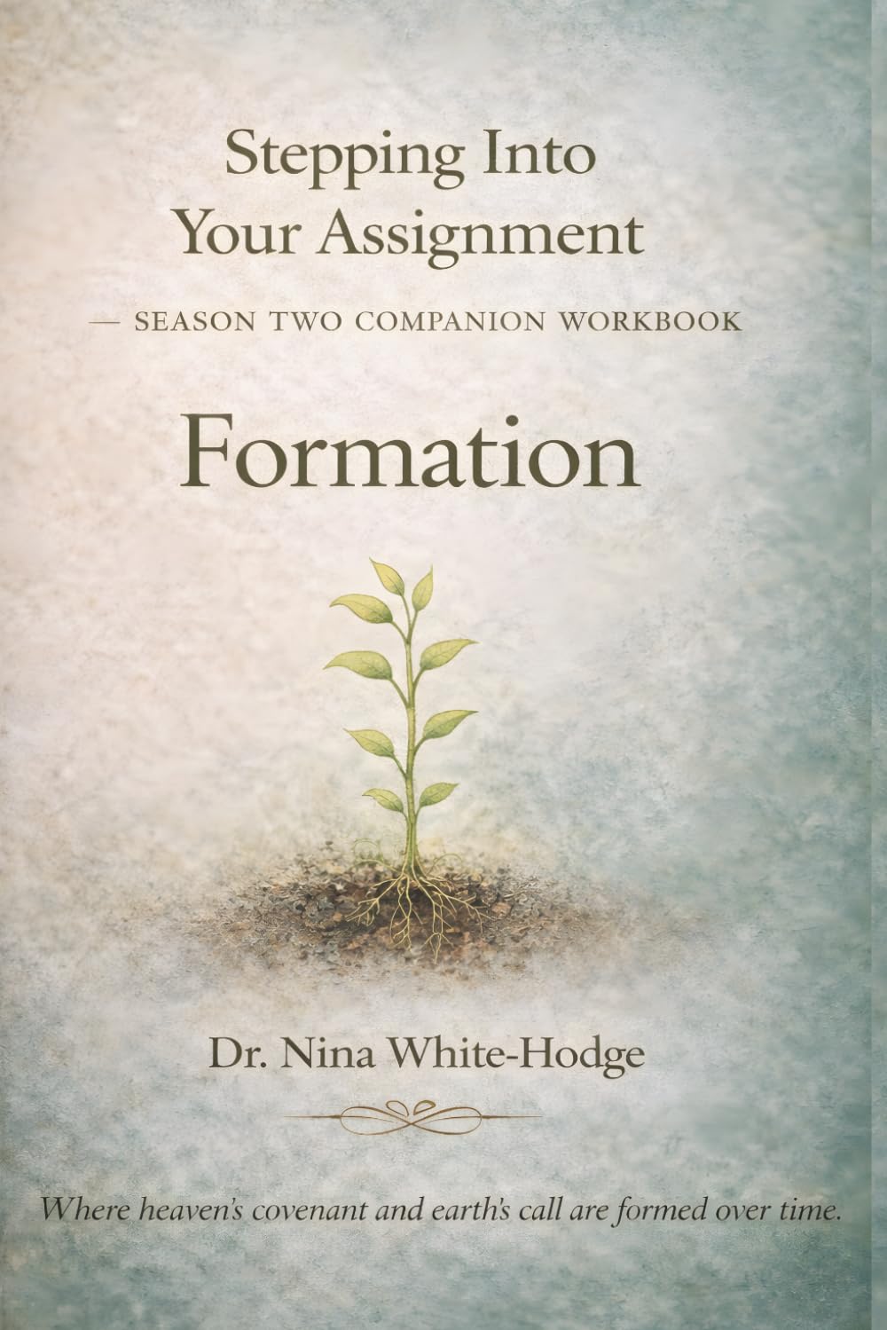 Stepping Into Your Assignment- Formation: Season Two: Formation Companion Workbook
