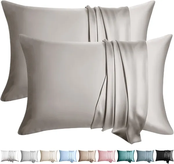 WLOSJ 100% Silk Pillow Cases 2 Pack Queen Size Mulberry Silk Pillowcase for Hair and Skin Set of 2 Highest Grade 6A Silk Soft Breathable Cooling with Hidden Zipper, Grey