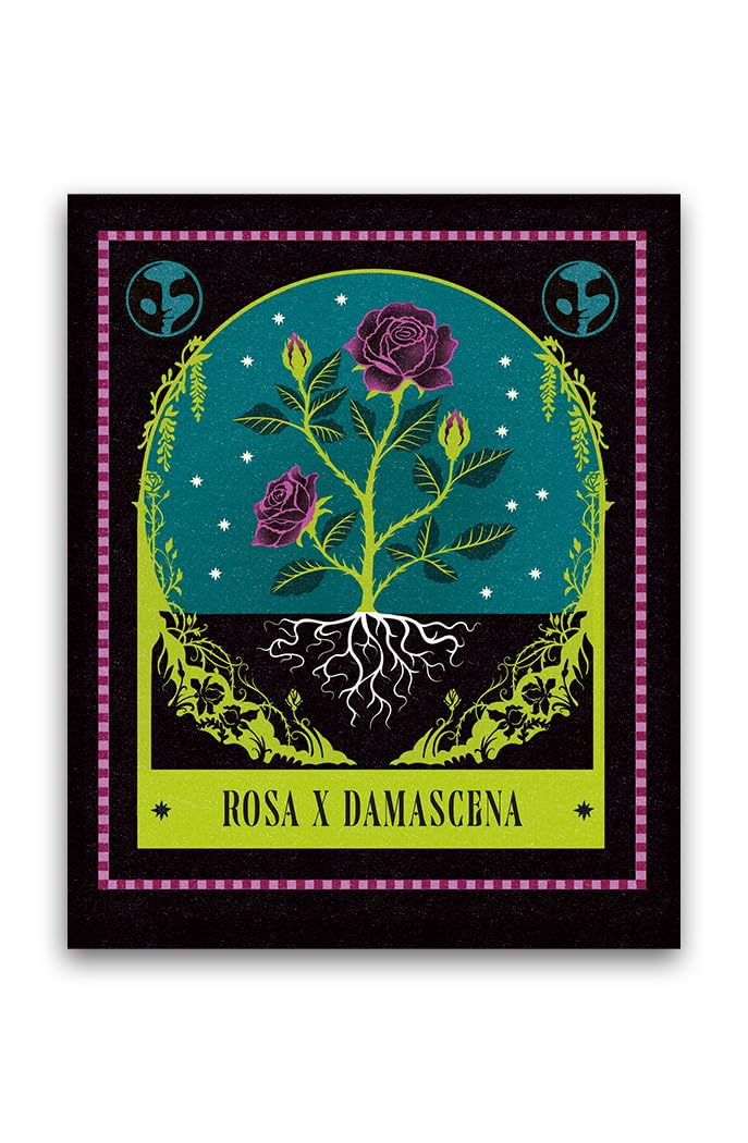 Manuale di magia oscura per giovani spose. Con gadget
