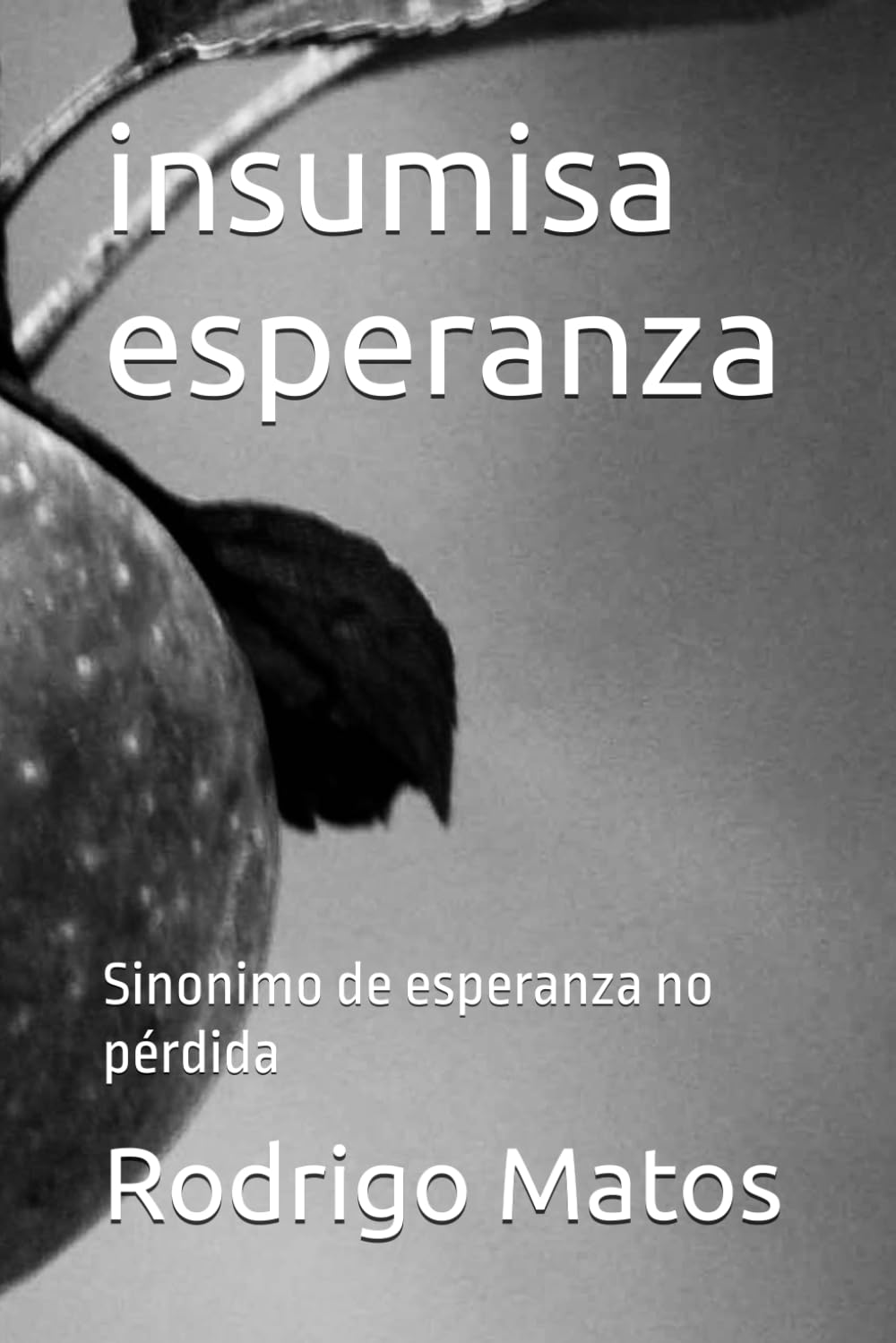 insumisa esperanza: Sinonimo de esperanza no pérdida (Necesito fuerzas mayúsculas hoy y ahora)