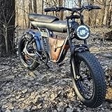 Tomofree Klassisch E Bike Elektrofahrräder, 250W/48V/20Ah Fetter Reifen Dirt Bike mit Volle Stoßdämpfung System, Max Reichweite bis zu 56-90km, 25km/h City Mountainbike E Bike Herren Damen