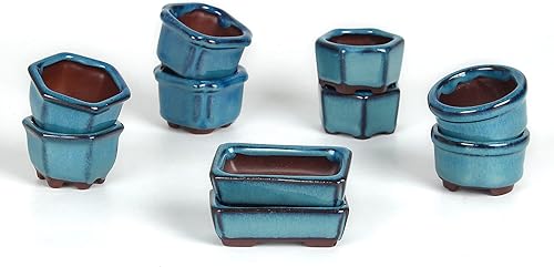 Miniatura 3 de Maceta Bonsai Suculenta 1.8"(4.5cm) 10 Mini Macetas Esmaltadas