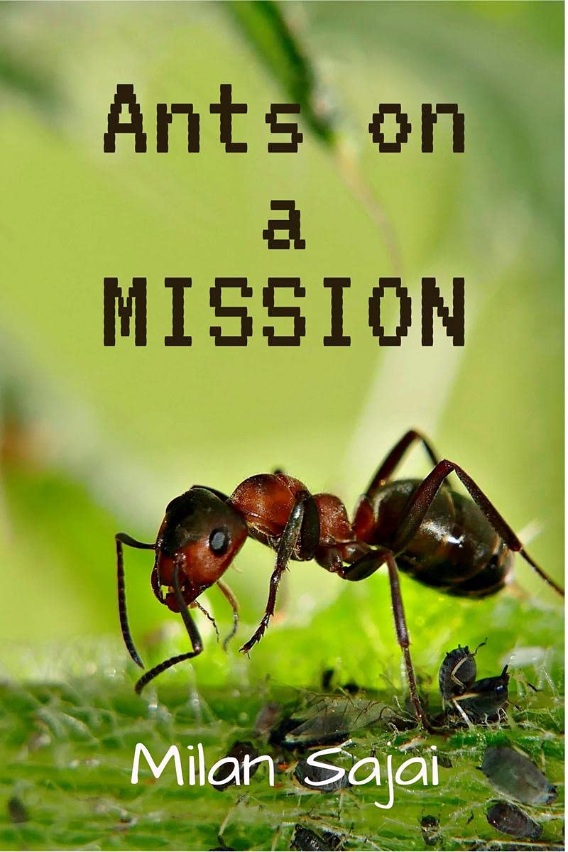 Ants on a MISSION