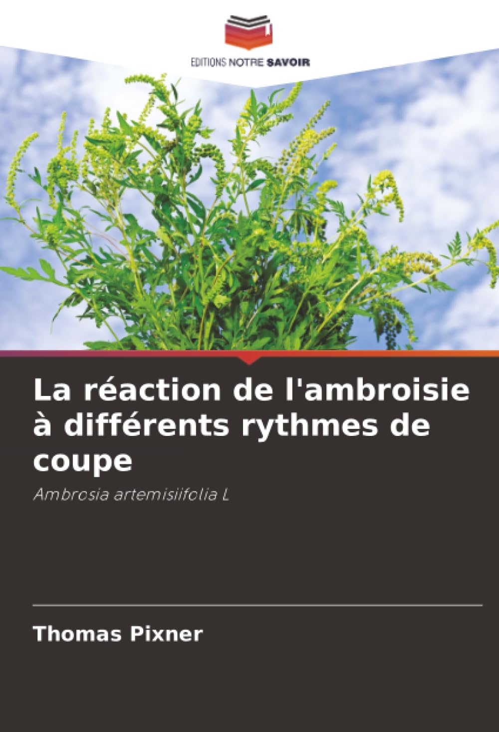 La réaction de l'ambroisie à différents rythmes de coupe: Ambrosia artemisiifolia L