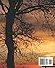 Discover Hidden Family Roots through DNA: A Beginner's Handbook: Uncover Your Ancestry with DNA Testing: Essential Tips for Beginners