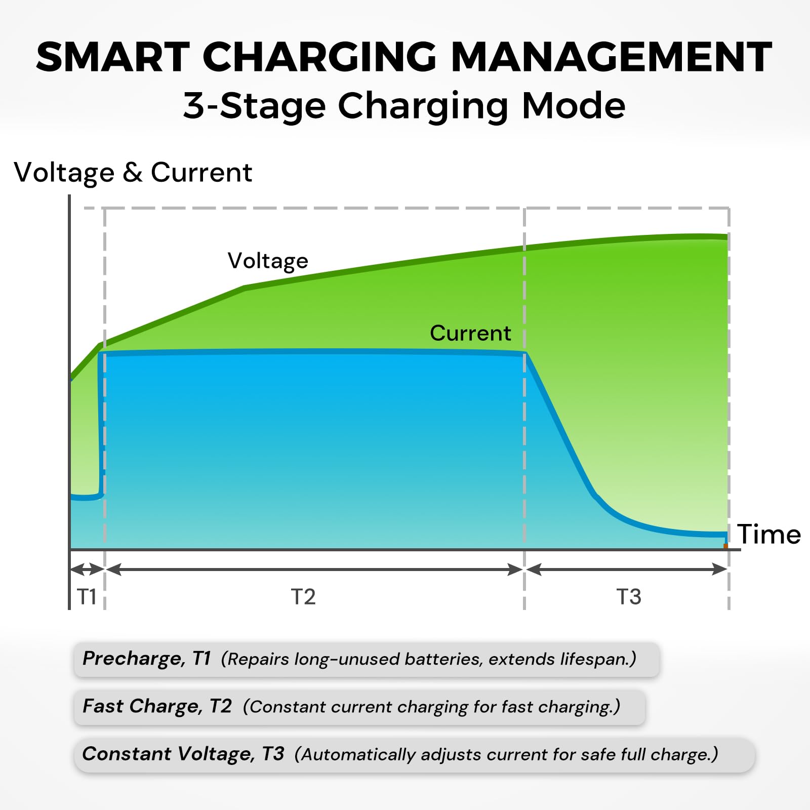 Dyness Caricabatterie 29,2 V 20 A LiFePO4, Caricabatterie Automatico Intelligente a 3 Livelli per Batterie al Litio LiFePO4 Adatto per Batterie al Litio da 24 V (25,6 V) con Protezione Completa