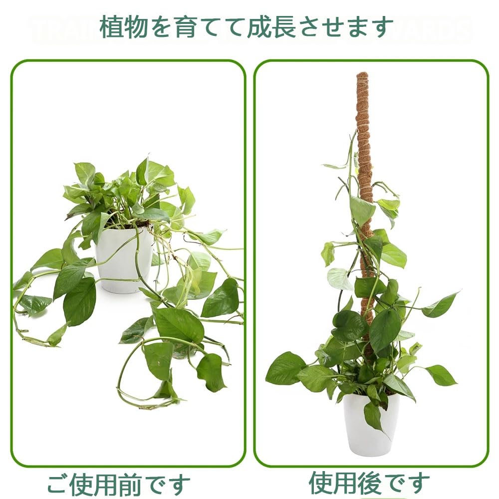 Amazon | 2本入り ココスティック 園芸支柱 自由に曲げる 観葉植物
