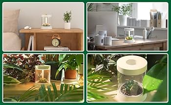 Amazon.co.jp: FTOYIN 多肉植物 ナイトライト 快適なナイト