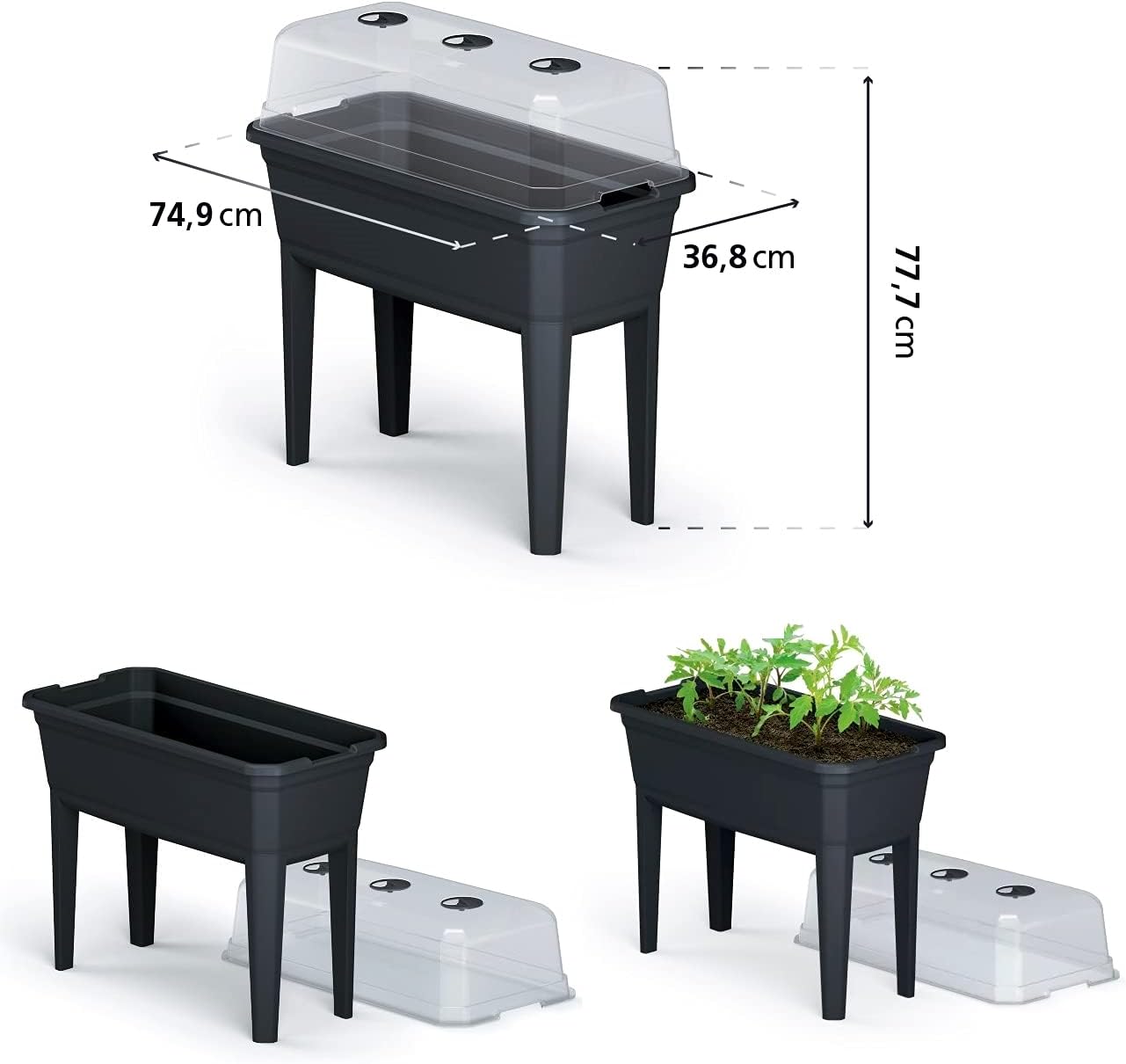 Prosperplast ZA1389 Tall Planter with Cover Respana Ecoline Plastic Anthracite 74.9 (L) x 36.8 (W) x 77.7 (H) cm