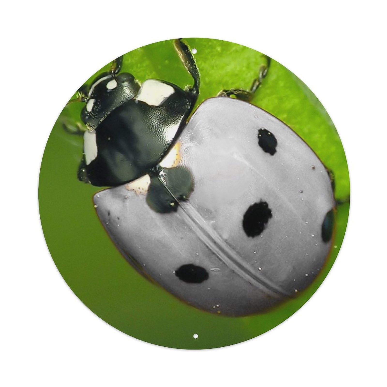 Animal Insect Eyepatched Ladybird Vintage Metal Tin Sign Plaque Wall Decor for Cafe, Club Bar, Office, Garden Metal Poster 8x8Inch