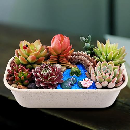 Miniatura 9 de Proveedores de jardín de hadas de erizos, figuras de accesorios de jardín de hadas en miniatura, micro paisaje, decoración de bonsái artesanal, 3