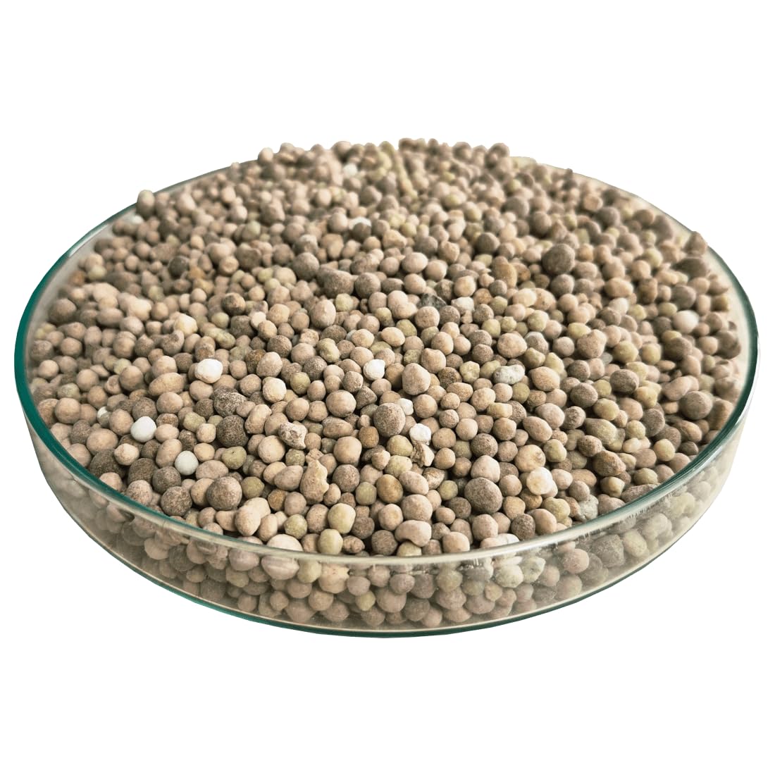 Fertilizzante per Prato Eco 12-5 di 5 25 kg, fertilizzante completo, fino a 600 m²