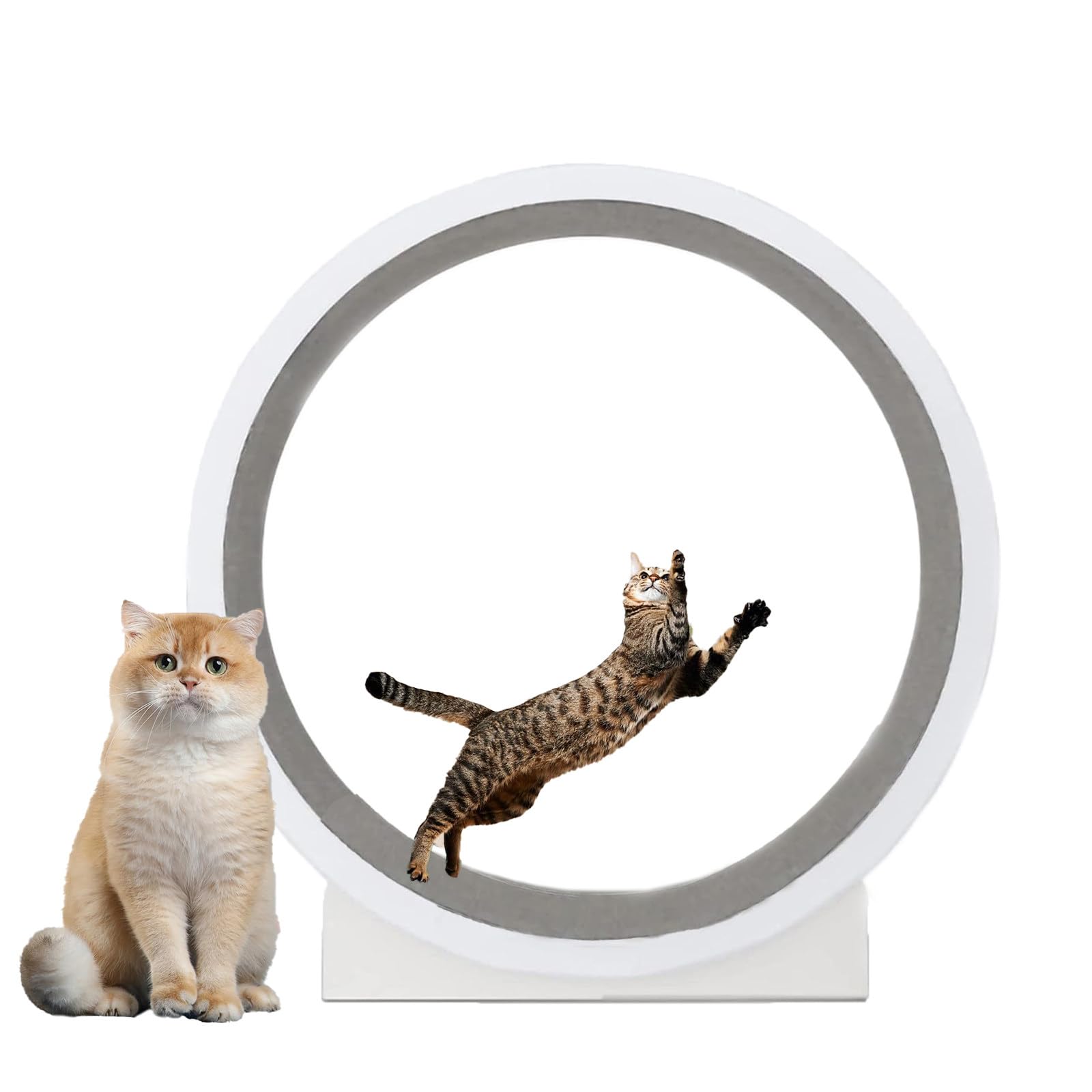 Rueda De Ejercicio para Gatos, Rueda De Caminadora Grande para Gatos De Interior, Rueda para Correr para Gatos De 43,3 Pulgadas con Alfombra Desmontable, para Correr/Caminar/Entrenar