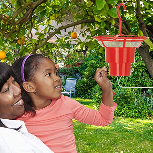 Blnene Heated Hummingbird Feeders, Hummingbird Feeder Heater For Winter Outdoors, Bird Feeder Warmer Backyard Hearth Attaches To The Bottom Of Bird Feeder #TOP7