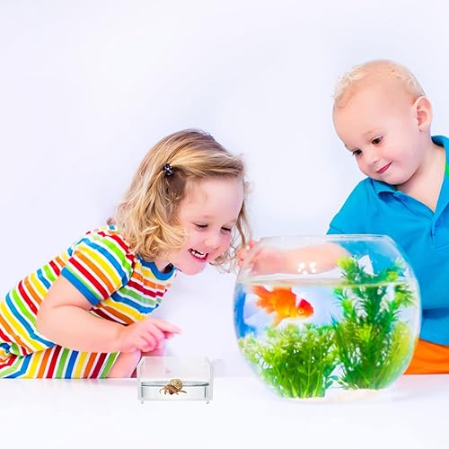 Miniatura 9 de balacoo 2 piezas acrílico terrario de reptiles acuario, tanque de cría de reptiles transparente, caja de alimentación de reptiles, piscina para