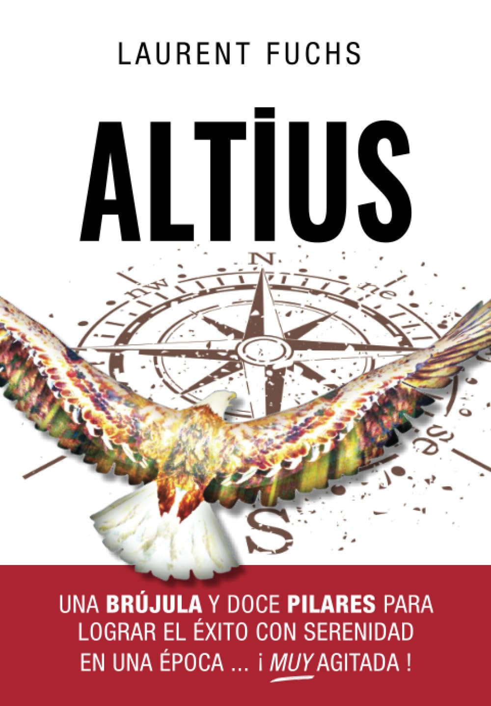 Altius: Una brújula y doce pilares para lograr el éxito con serenidad en una época ... ¡muy agitada!
