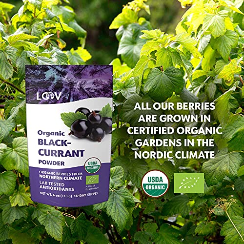 Loov Organic Blackcurrant Powder, Made From 100% Whole Blackcurrants, Freeze-Dried And Powdered Organic Blackcurrants, 4 Ounces, 14-Day Supply, Grown In Northern Europe, No Added Sugar #TOP6