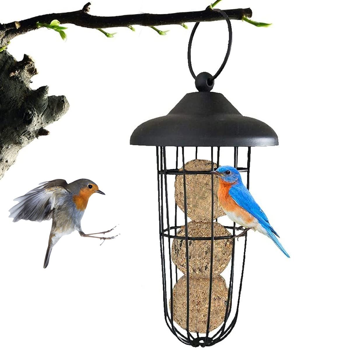 Excefore Hanging Bird Feeder -Durable and Squirrel-Proof Invite More Wild Birds to Your Garden,All-Weather Metal Feeder For Various Wild Birds