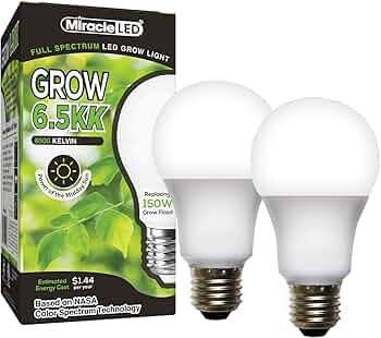 61GqcUm0SzL._AC_UF350,