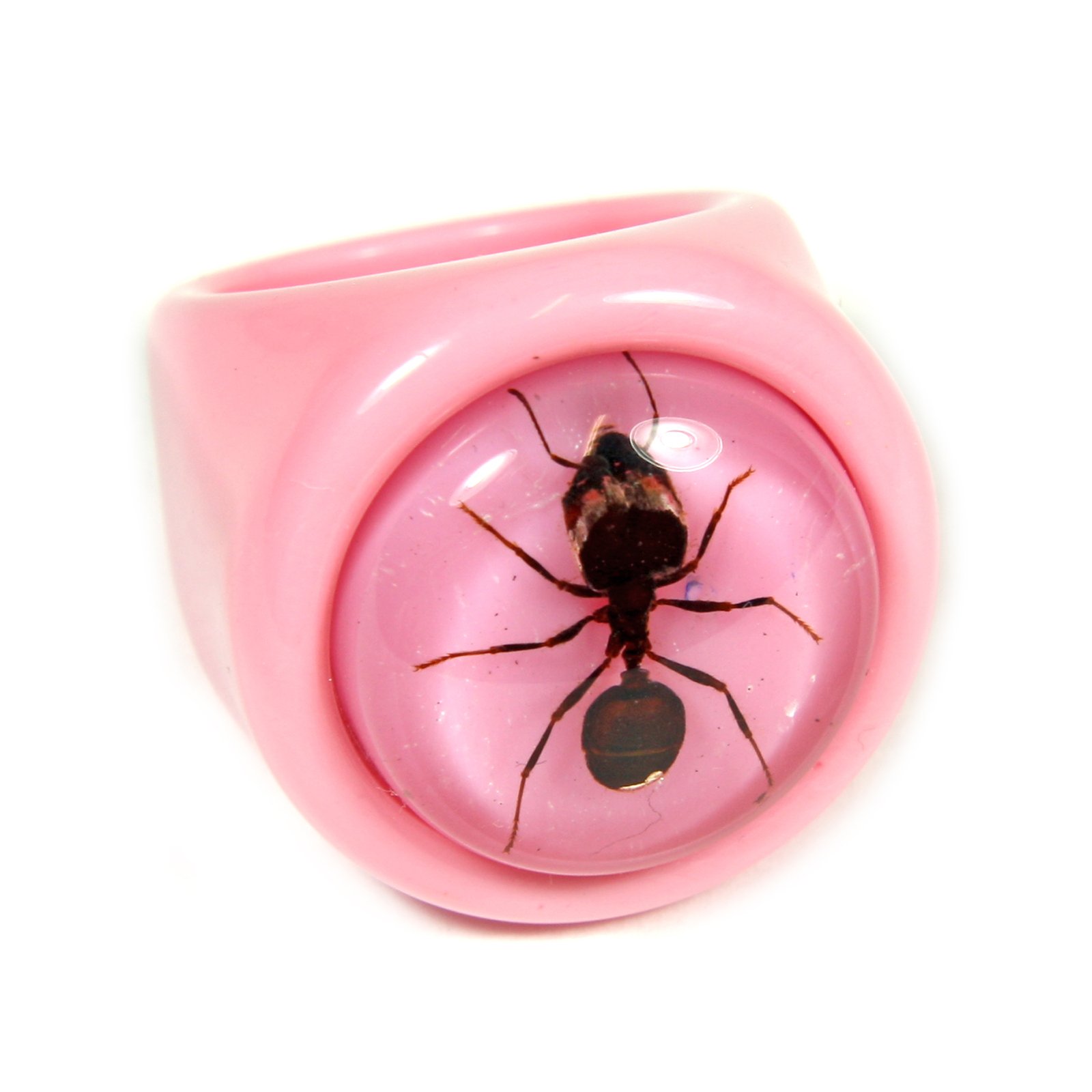 REALBUGREALBUG Ant Pink Ring Size 6